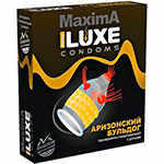 Один презерватив Luxe Maxima Аризонский Бульдог в оригинальной коробке